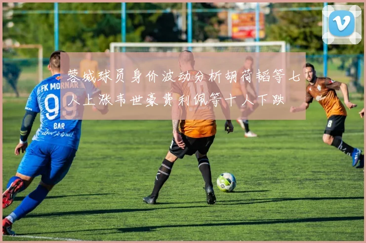 蓉城球员身价波动分析胡荷韬等七人上涨韦世豪费利佩等十人下跌