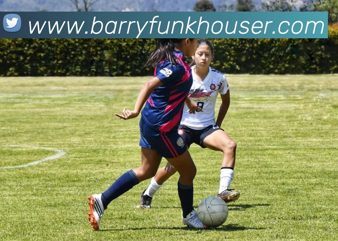 App 展示图